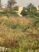 Terrain spacieux construction et projet agricole