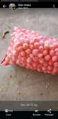 Oignons blancs frais sac filet gros volume