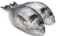 Poisson Frais et congelé