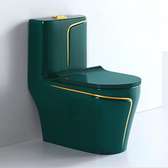 cuvette de toilette luxe