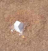 Terrain à vendre à yenn