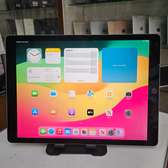 Ipad pro 12.9 256g
