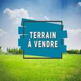 Champ de 1 hectare a vendre