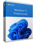 LICENCE WINDOWS 11 PROFESSIONNEL