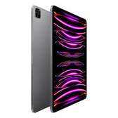 iPad pro M2 12.9 Wi-Fi+ cellulaire
