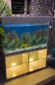 Superbe Aquarium de 280 Litres