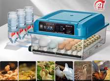 Couveuse automatique 36 œufs