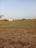 Terrains Agricoles à Vendre par m2