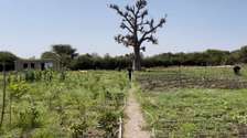 Terrain 1 hectare a sebiponty ndoyene