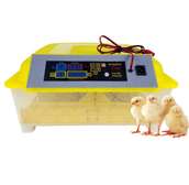 Couveuse automatique
