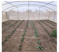 Serre agricole