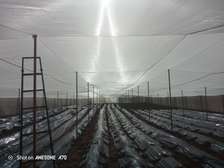 Serre agricole professionnelle