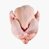 Poulets de chair
