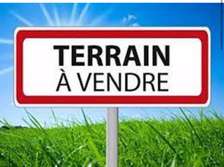 Terrain à vendre au point e idéal pour projet immobilier