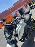 CF Moto  2023