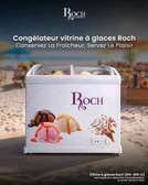 Congélateur 400l vitrine roch