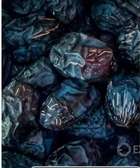 Des Datte ( tandarma) AJWA de première qualité