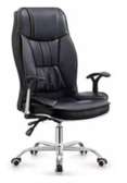 Fauteuil Ministre