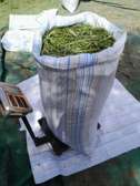 Herbe verte de maralfalfa fourrage aliment de betail