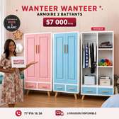 Destockage d'armoire 2 battants