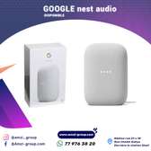 Google Nest Audio
