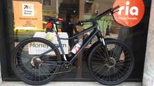 VÉLO TOUT TERRAIN RIVERSIDE XXL 29"