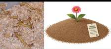 Engrais Biologique