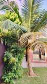 Magnifique villa à vendre à Saly