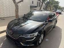 Renault SM6 venat Anne 2018