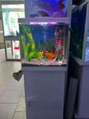 Aquarium