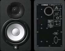 Moniteur studio Hs5