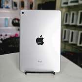 iPad mini4 16g