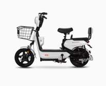 Vélo Electrique (Saige EVBike )