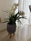 Pots de fleurs