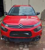 C4 Cactus 2021
