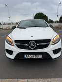 GLE