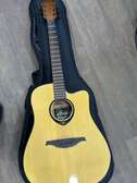 Guitare électrique et électroacoustique