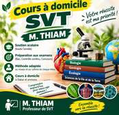 SVT A DOMICILE