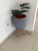 Pots de fleurs
