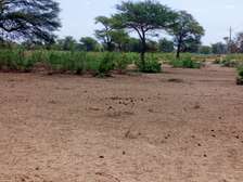 Terrain Agricole de 21,05 Hectares vers Thiénaba – Thiès