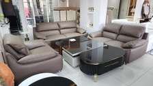 Salon en Cuir