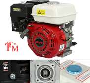 TM33 moteur essence 6.5 HP rouge et blanc