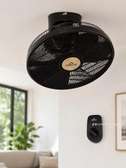 Hunter ventilateur plafond noir télécommande