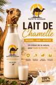 Lait de chamelle frais