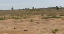 Terrains 225m2 à vendre à Thiès Pallo