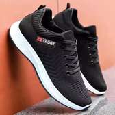 Chaussures Sport