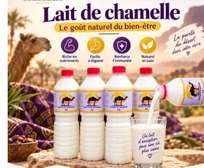 Le lait de chamelle frais