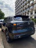Changan  2022
