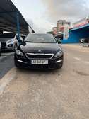308 sw 1.6 bluehdi