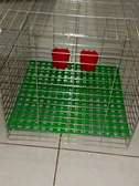 Cage lapin Chat chien poule pigeon